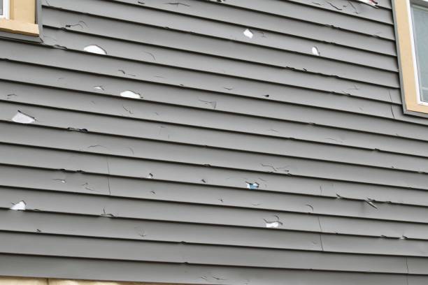 Best Composite Siding  in Pine Knot, KY