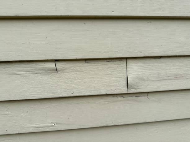 Best Engineered Wood Siding  in Pine Knot, KY